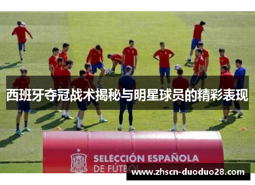 西班牙夺冠战术揭秘与明星球员的精彩表现